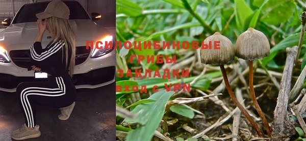 СК Елабуга