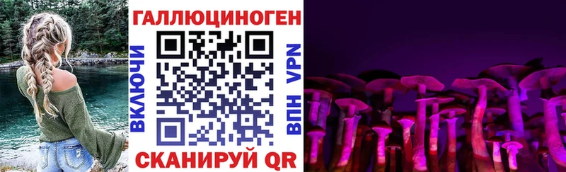 Галлюциногенные грибы Cubensis Краснознаменск